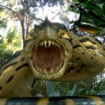 Piranhaconda (2012) review by That Film Guy