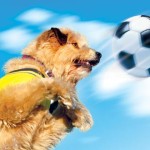Review: Soccer Dog: European Cup (2004)